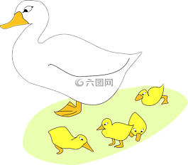 鳥,鵝,小鵝