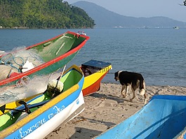 獨(dú)木舟,海灘,干欄