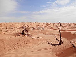 撒哈拉沙漠,沙漠,突尼斯