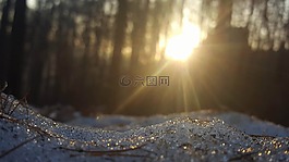 冬季,地球,太陽