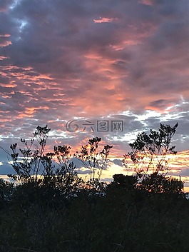 日落,甜点,粉红色