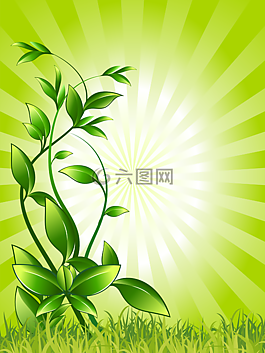 植物,綠色,成長