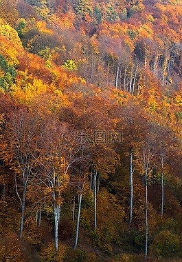匈牙利,马特拉山,景观