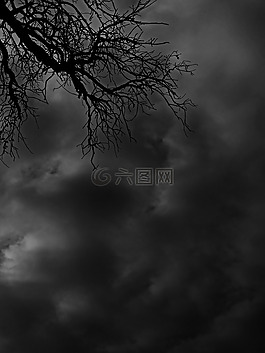 分支機(jī)構(gòu),云,神秘