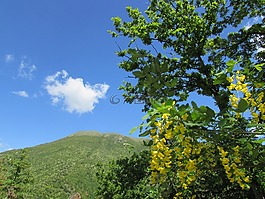普拉托,性質(zhì),春