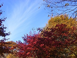 秋季,天空