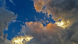 景觀,性質(zhì),森林