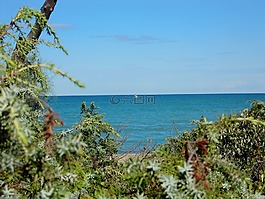 海,水,海洋