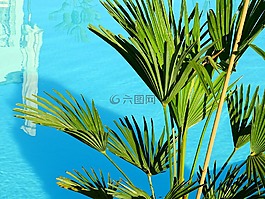 水,游泳池,池