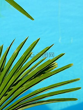水,游泳池,池