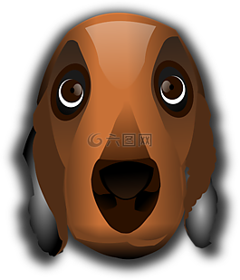 動(dòng)物,狗,頭