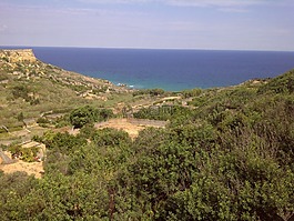 海,海洋,岸