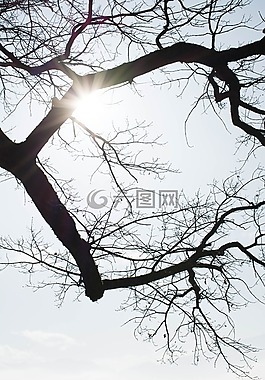 性質(zhì),藍(lán)色,白