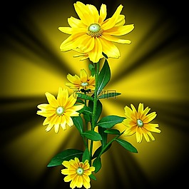 鮮花,花,黃色