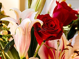 花,花束,花的