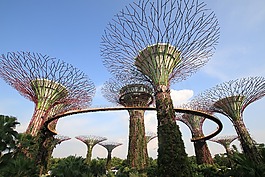 花園,gardenbythebay,supertree