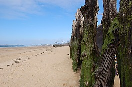 布列塔尼,海灘,海