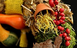 秋季,秋天的花環(huán),herbstdeko