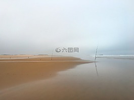 海灘,海,魚