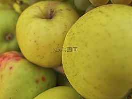 蘋果,水果,秋