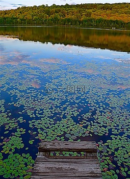 湖,塢站,黃昏