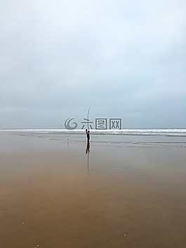 魚,海灘,海