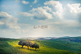 自然,綠色,景觀(guān)