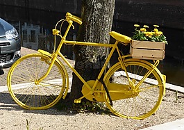 運(yùn)輸,自行車,春天