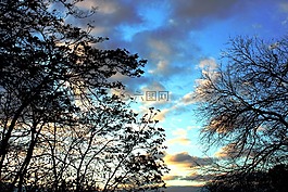 日落,自然,景觀