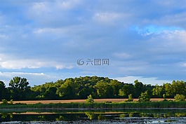 湖,公園,樹