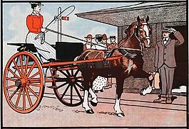 馬,購物車,車皮
