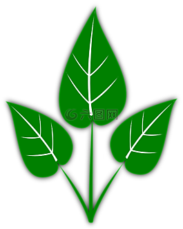 葉子,綠色,植物