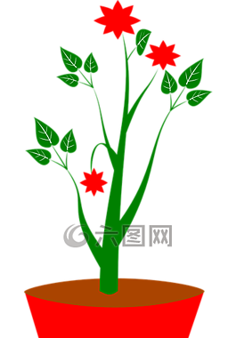 花,裝修,葉子