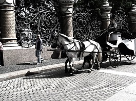 馬匹,購物車,控制器