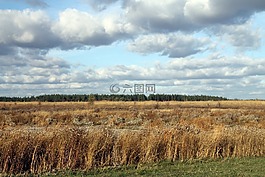 字段,景觀,天空