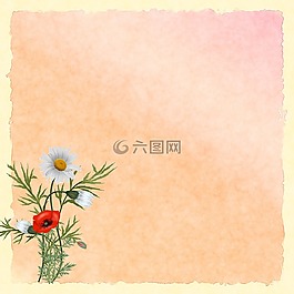 紙,背景,鮮花