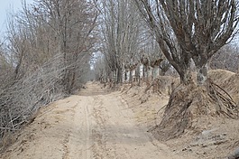 景色,山水,冬天