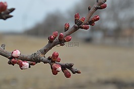 景色,山水,春天