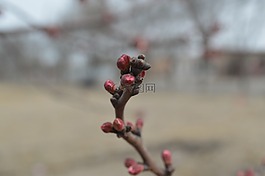 景色,山水,春天