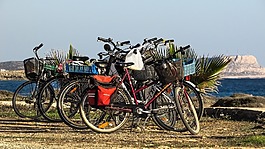 自行車,漂移,休閑