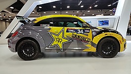 大眾汽車,甲蟲,車展