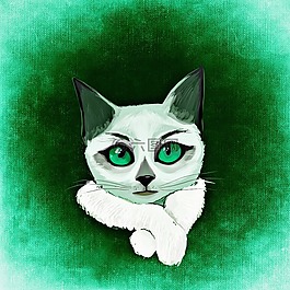 貓,動物,滑稽