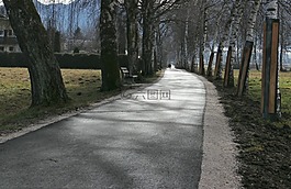 大道,離,路