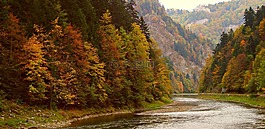 pieniny,山,景觀