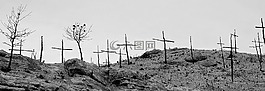 森林火災(zāi),燒毀的山,降解