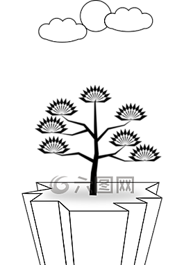 性質(zhì),樹,葉
