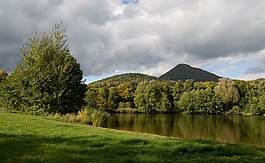 秋,池塘,樹