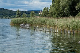 水域,性質(zhì),河