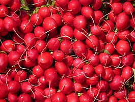 蘿卜,蔬菜,紅色