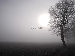 太陽(yáng),霧,字段